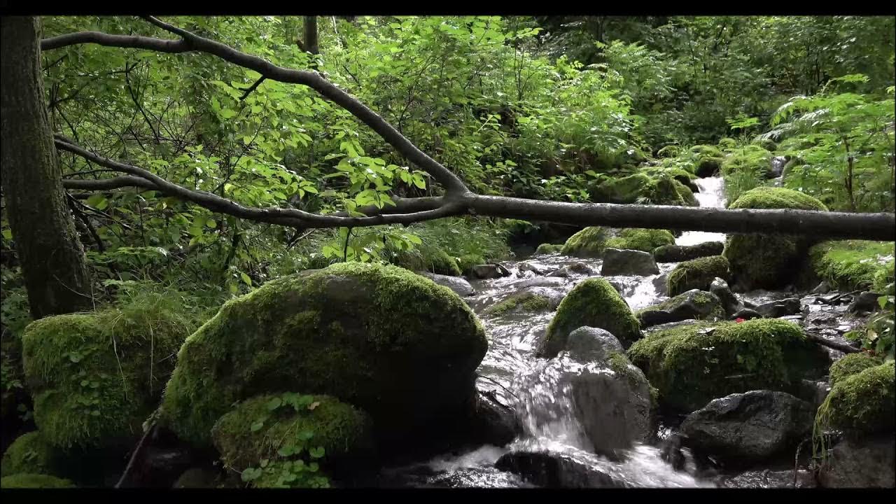 Журчание ручья слушать. Шум ручья. Ручей. Ручей природа слушать. Фотообои ручей в лесу.