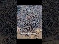 Machines That Work Smarter Than You Think! Satisfying machines