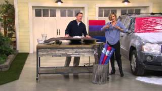 FrostGuard Windshield and Wiper Cover with Kerstin Lindquist