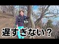 【丹沢塔ノ岳】休憩しながら、ゆっくり下山。