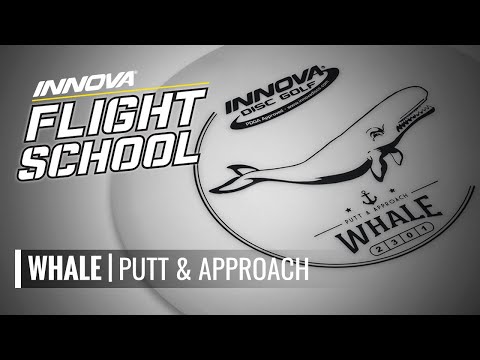 Innova Whale video