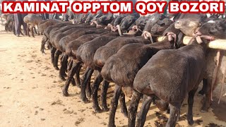 KAMINAT OPPTOM QOY BOZORI - 1 QISM | КАМИНАТ ОППТОМ КОЙ БОЗОРИ - 1 КИСМ