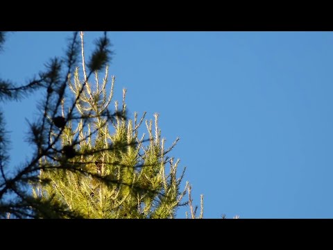 The Main News Program On Channel 8 From October 24 2025 Part 2