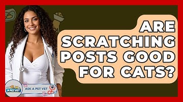 Are Scratching Posts Good For Cats? - Ask A Pet Vet
