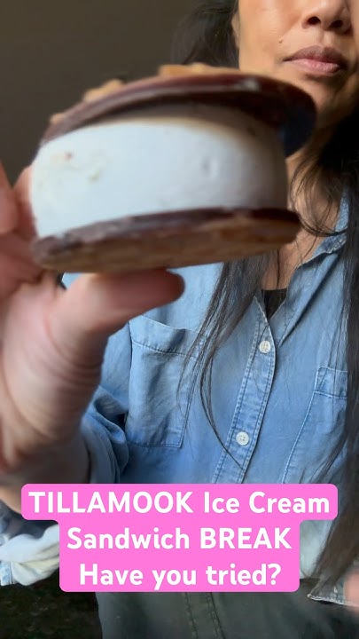 tillamook-ice-cream-sandwich-break-have-you-tried-it-youtube