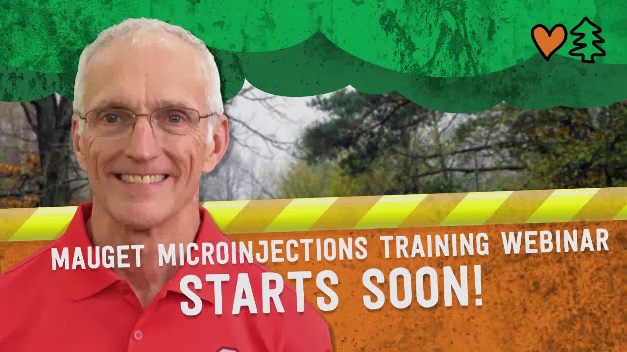 Mauget Microinjections w/ Jim Rollins TreeStuff inar Series YouTube