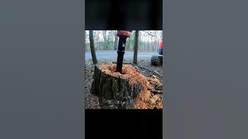 Remove Tree Stumps #Excavator #shorts