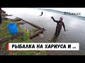 Красота и экзотика Ангарской рыбалки.