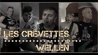 Les Crevettes - Wellen  (Palzrocker Video Edition)