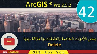 42– بعض الأدوات الخاصة بالطبقات والعلاقة بينها  |  Delete | ArcGIS Pro 2.5.2