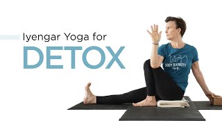 Iyengar Yoga to Detox screenshot 5