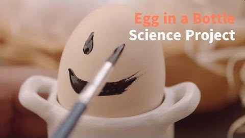 Egg in a Bottle Experiment | Step-by-Step Science Experiment with Home Science Tools