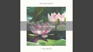 Kernel of Relax Calm Vibes and Flowing Stream pt. 1