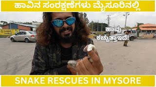 SNAKE RESCUE #125