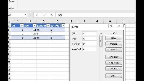 Create data entry forms in MS Excel using your questionnaire