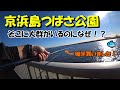 【第28話】 京浜島つばさ公園で釣り！まさかの坊主！？【2021-11-27】