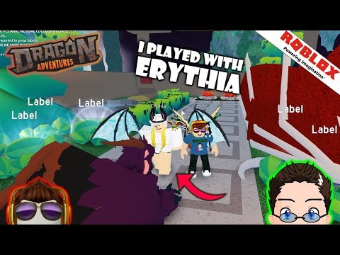 Roblox Dragon Adventures New Update I Met The - roblox the essential guide books non fiction craniums