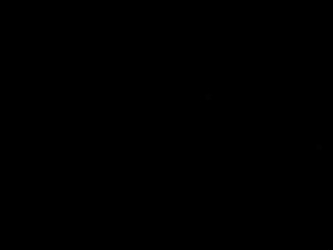 ბოდიშით