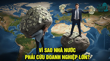 VÌ SAO NHÀ NƯỚC PHẢI CỨU DOANH NGHIỆP LỚN? NỢ CÔNG KHÔNG PHẢI LÀ TỘI LỖI NẾU BIẾT DÙNG NỢ