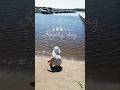 【北欧暮らし】爽やかな夏日、湖をお散歩 #暮らし #北欧 #ノルウェー #子育て