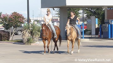 Inwhizable Image and Paloduro Cinnamon - riding in town - ValleyViewRanch.net
