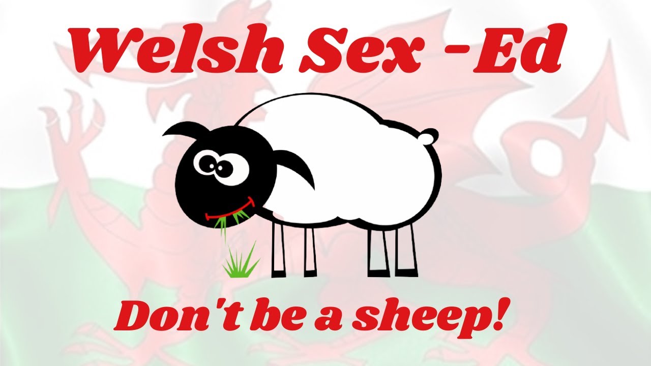 Welsh Sex-Ed for Dummies