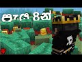 Sniffers 100  collecting 100 sniffers in hardcore minecraft sinhala