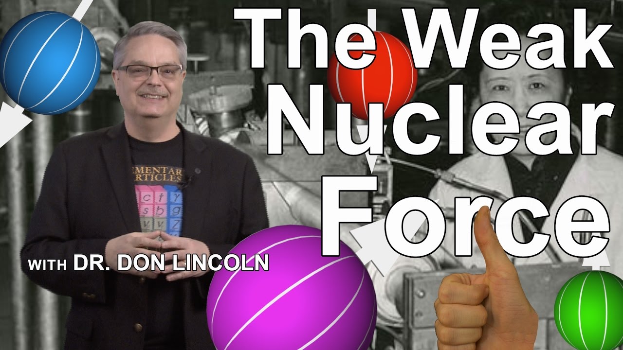 ⁣The Weak Nuclear Force: Through the looking glass