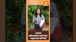 आज शाम 05 और  07 बजे के बुलेटिन में एंकर@AnchorNishaके साथ देखिए देश और प्रदेश की प्रमुख खबरें ....