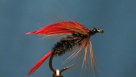 Beginner Fly Tying a Peacock and Red with Jim Misiura