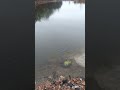 Река стала  ручьем, _ рыбачу((((