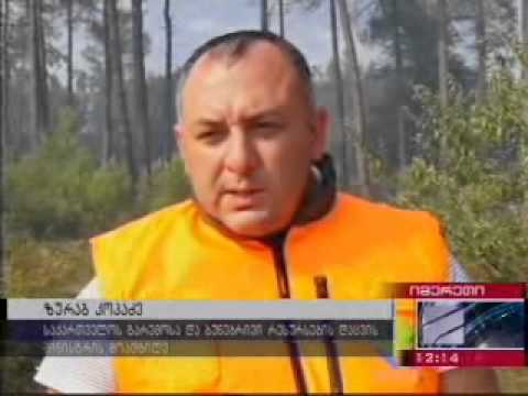 MOE: წყალტუბოში ხანძარი ლიკვიდირებულია