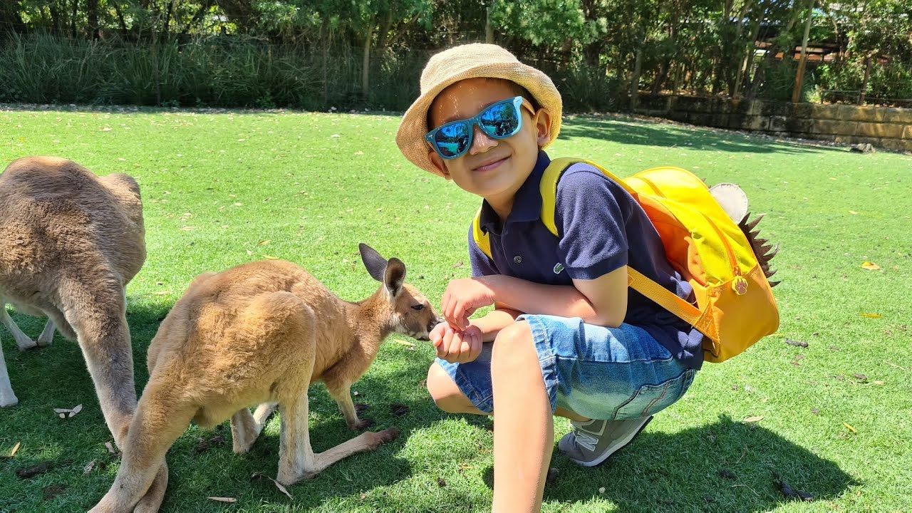 Caversham Wildlife Park January 21 Youtube