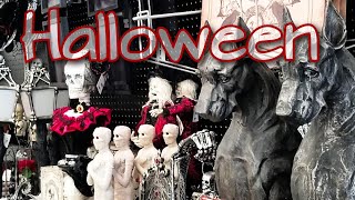 Halloween Decorations 2020   AtHome Ghoulish Gatherings Halloween Decorations Collection