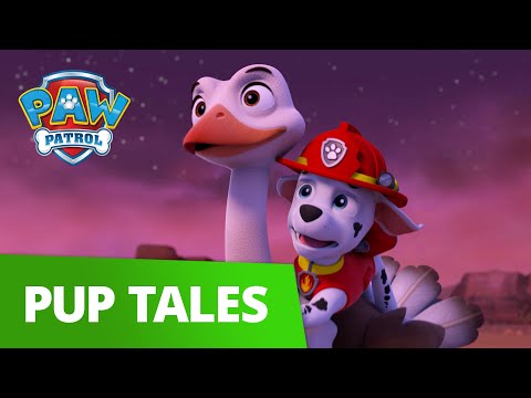 Paw Patrol, la Pat'Patrouille - La Pat' Patrouille des mers sauve mamie  Tilly / Un éléphant en colère