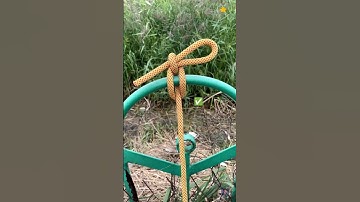 👉Tie & Untie in Seconds! Learn Quick Release Knot #tips #diy