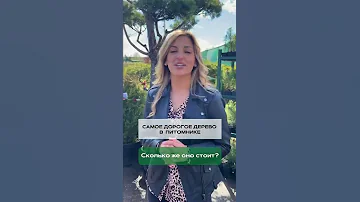 😱 САМОЕ ДОРОГОЕ ДЕРЕВО в Москве - сколько стоит?