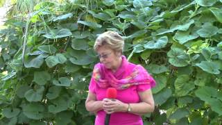 April Walker 9/12/2014 Net Worth