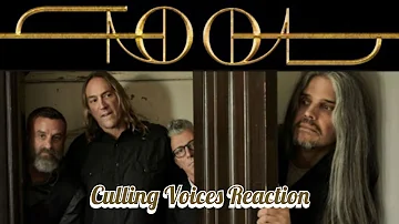 The ABC's of Metal (T) Tool - Culling Voices Reaction