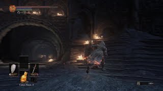 Ds3 Early jump skip, heavy rolling 2026