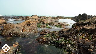 10 Minute Rock Pool Meditation β’ Relaxing Music, Stress Relief, Calming Ocean β’ Serene Scape