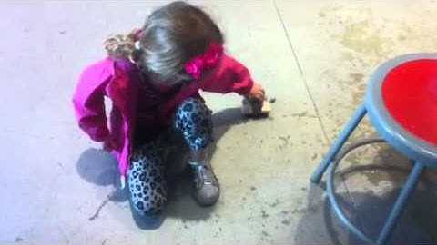 Rolling Robots Video.mov