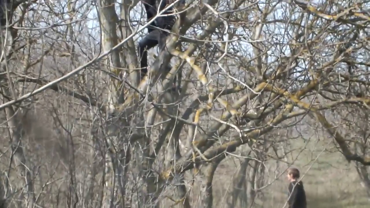 spring 2016 walking trek (video 4)