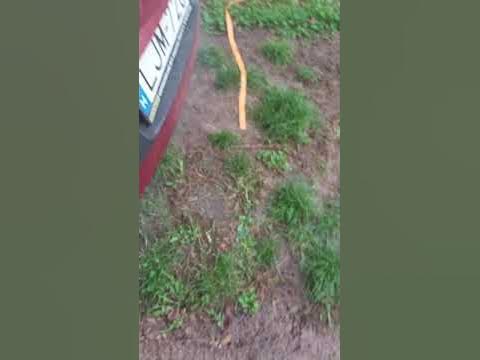 1.5 DCI P0670 / DF025 fault code. (BDL/7-12) replace. - YouTube