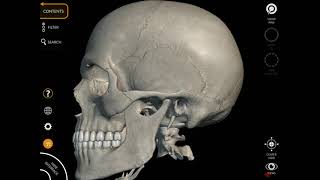 The Skeleton 3D Atlas App screenshot 2