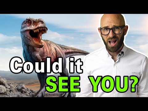 Is It True the T-Rex Couldn't See You If You Didn't Move? thumbnail
