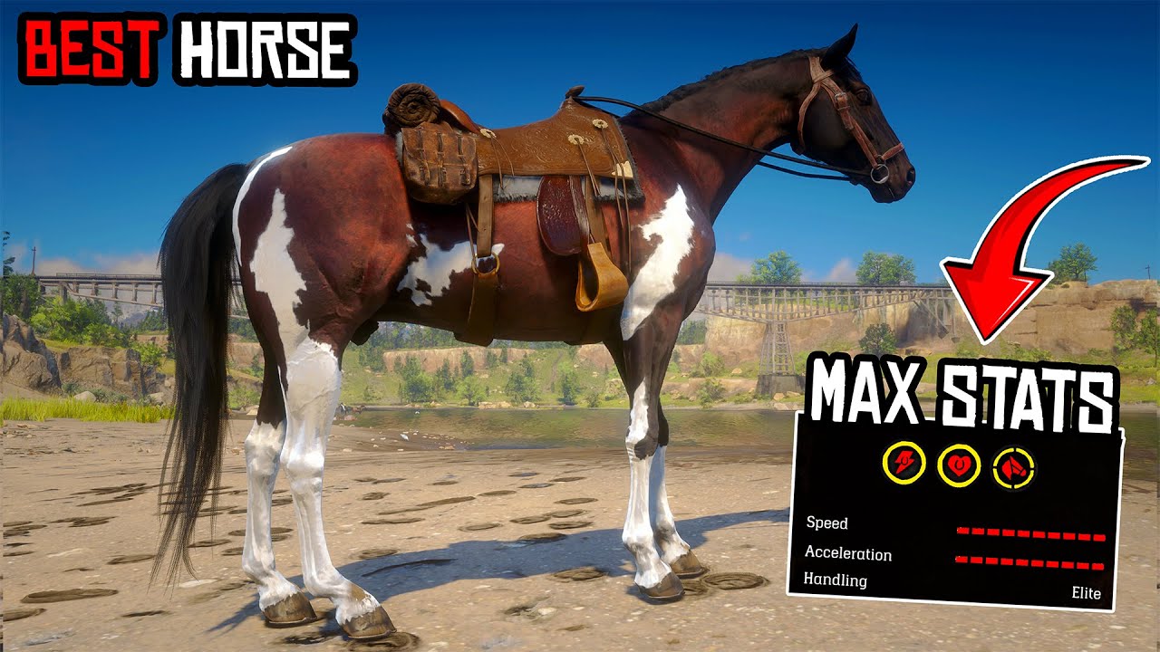 Best Horse in Each Chapters in Red Dead Redemption 2 - YouTube