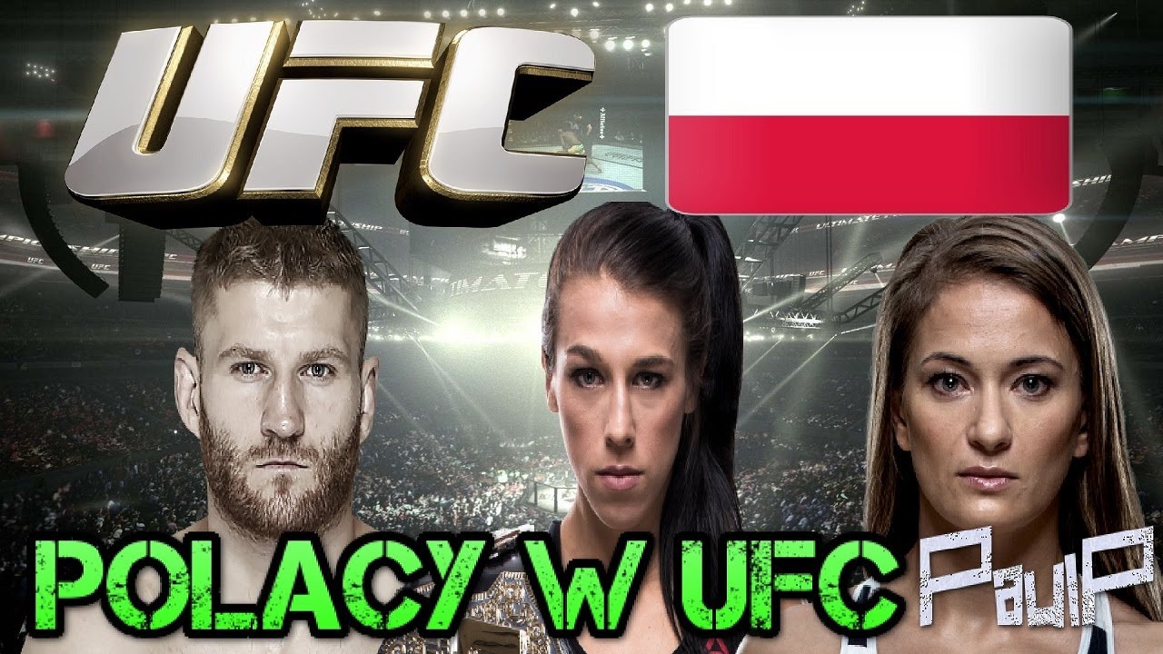 NAJLEPSI POLACY W UFC [ ANALIZA ! ] 2017 , SZCZEGÓŁY , PRZYSZŁOŚĆ / PAULP