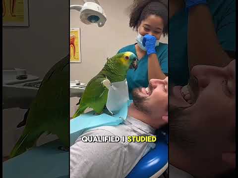 دهنتو باز کن من هرج و مرج رو تشخیص میدم او شورت خنده دار وایرال بیکو را زیر سوال برد