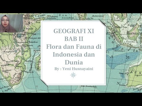 Flora dan Fauna di Indonesia dan Dunia | Karakteristik Bioma Dunia | Geografi Kelas XI